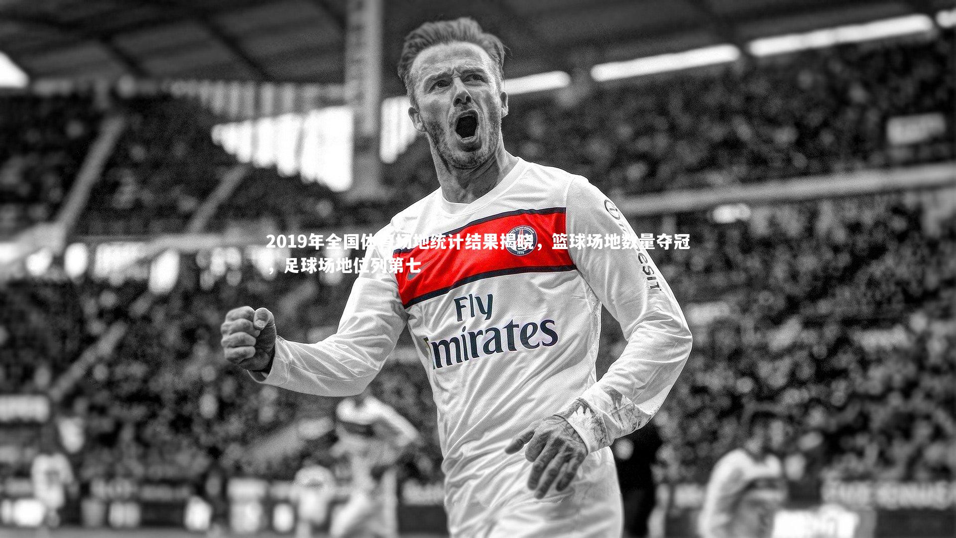 NG大舞台|2019年全国体育场地统计结果揭晓，篮球场地数量夺冠，足球场地位列第七